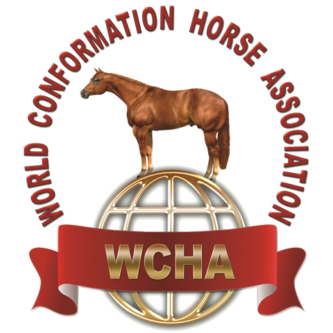 WCHA Unveils New Sponsors