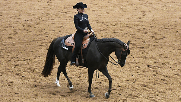 Auburn Equestrian at Top of Latest NCEA Rankings