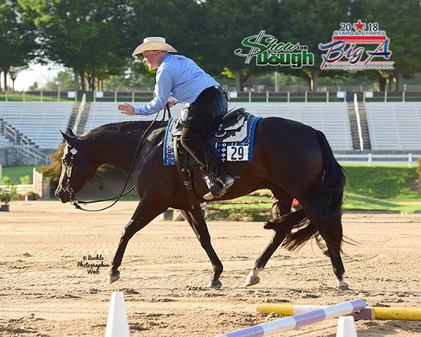 Big A/Show For Dough Futurity Pays Out $26,242 to 152 Different Exhibitors