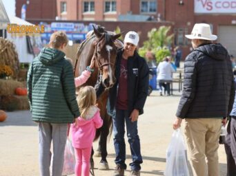 Equestrian Positivity- Breaking Down Stereotypes in the Horse Industry