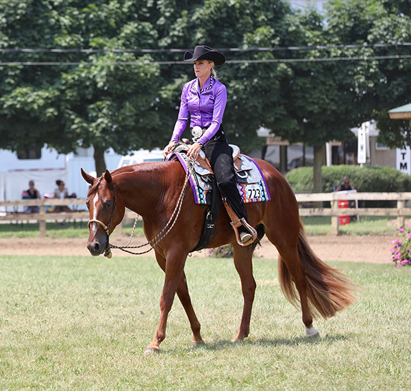 Around the Rings Western Pleasure Super Sires at Tom Powers Futurity