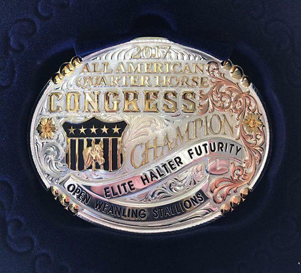 Elite Halter Futurity Returning to 2018 QH Congress