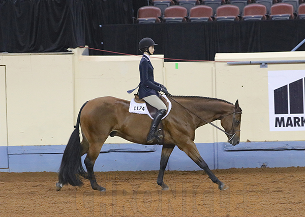 Olivia Tordoff Named 2018-2019 AQHA Youth President!