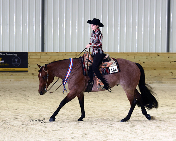 Can You Have a DIY Horse and Compete Successfully at the Majors?