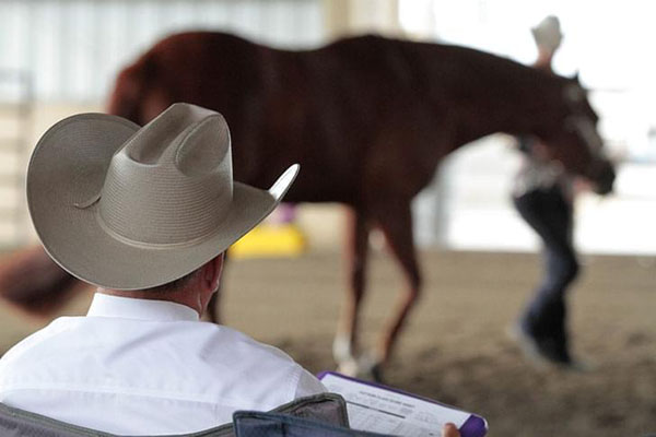 Clinicians Announced For 2018 AQHA Youth World Show