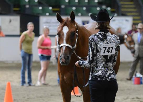 AQHA Region 6 Championship Set For July 20-22