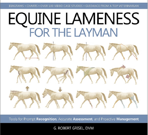 Equine Lameness For the Layman
