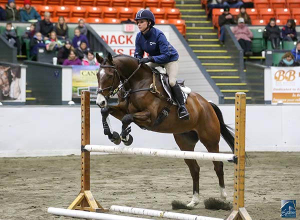 Education, Entertainment, and Everything Equine Coming to Equine Affaire in Massachusetts