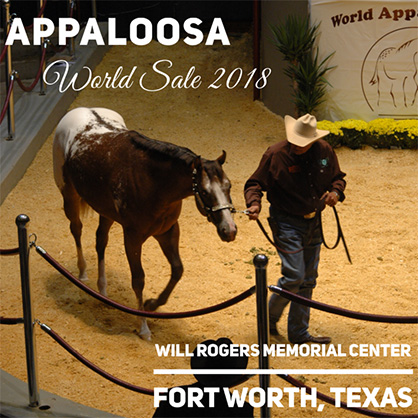 Save the Date For Appaloosa World Show Sale