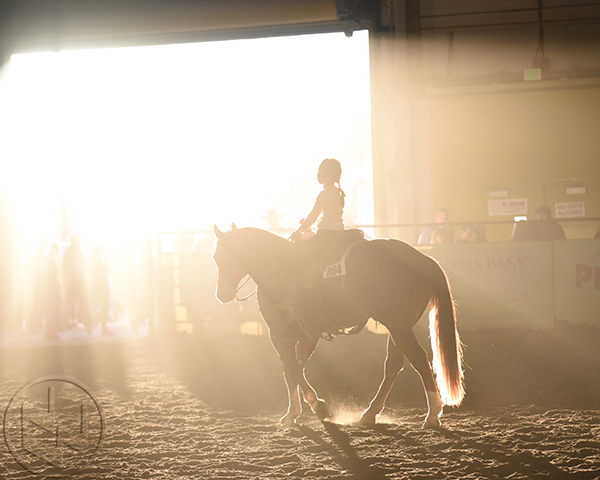 National Western Stock Show Creates Youth Ranch Horse Mentor Matchup