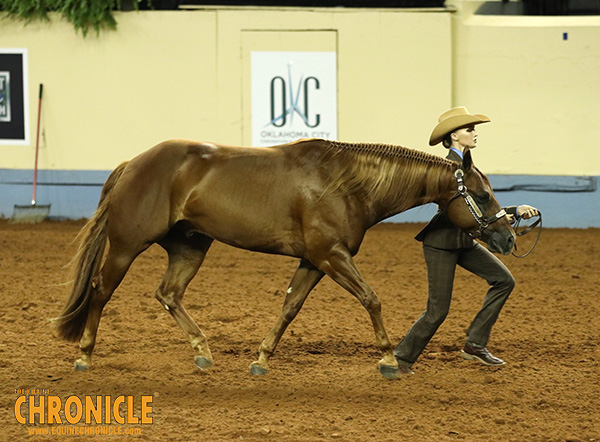 L2 Showmanship Champion, Now On to Ranch Riding Finals and Reining!