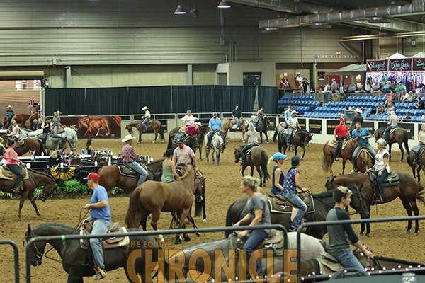 The Horse Show- A Place of Great Fun and Great Disappointment
