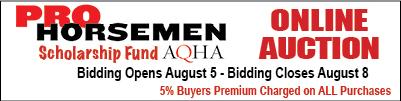 Bidding in AQHA Pro Horsemen Scholarship Fund Auction Extended to Friday at 7:00 pm