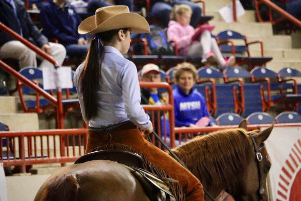 IHSA Riders to Compete in AQHA Collegiate Horsemanship Challenge at Youth World