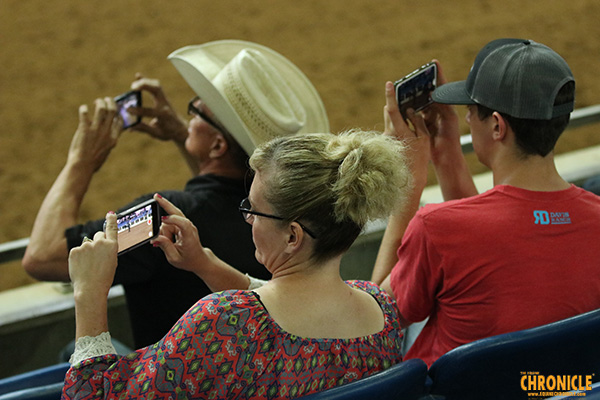 EC Photo of the Day- How Many People Does It Take to Video a Horse?