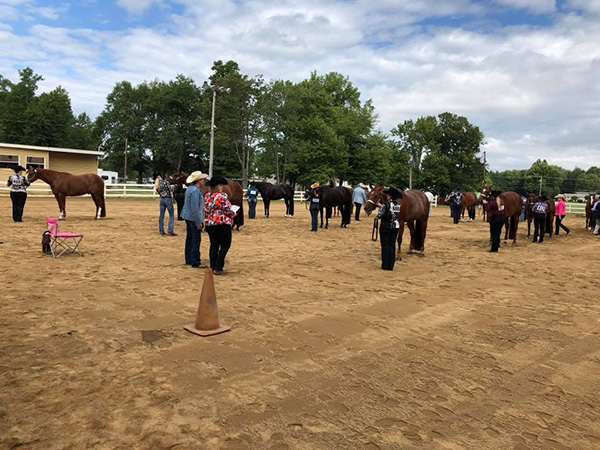 Results from Tri State Quarter Horse Association Futurity