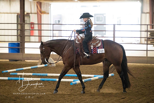 Results and Photos From ILQHA Fall Futurity