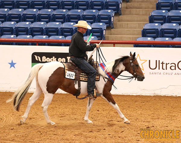 First Time’s a Charm For Steve Meadows In APHA World Ranch Trail