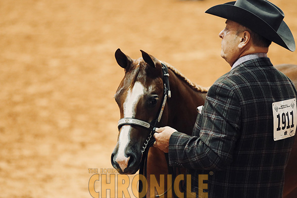 Around the Rings at APHA World Show- 9/20-21