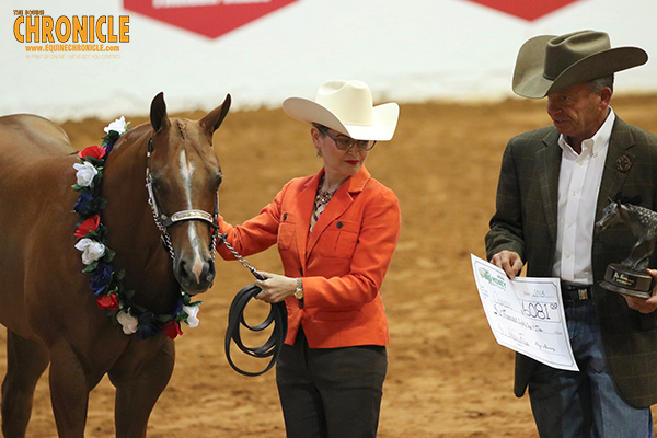 Morning WCHA Big Money Halter Winners at APHA World Include McPherson, Dyer, Davis, McGaughey, and More