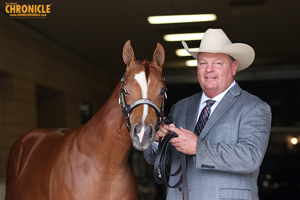 WCHA APHA World Halter Winners Include Vasi, Laney, Smith, and More