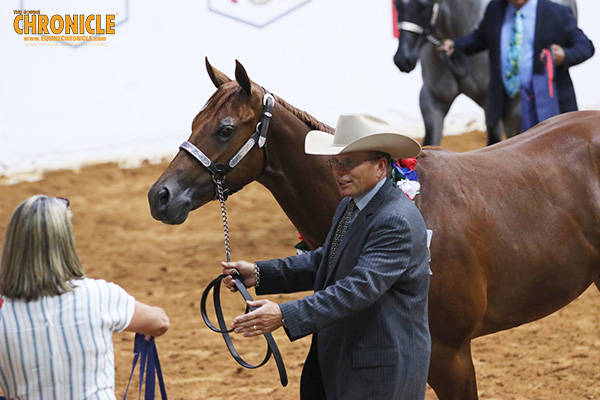 Evening WCHA APHA World Champions Include Coon, Smith, Laney, and More