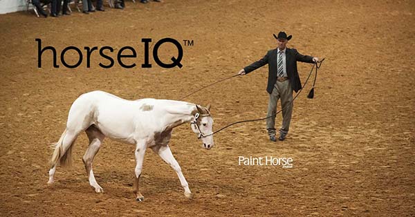 Longe Line and Ranch Trail Added to APHA HorseIQ Video Series