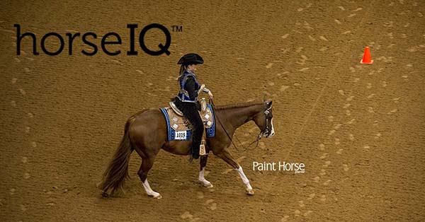 Western Riding Added to APHA HorseIQ Training Library