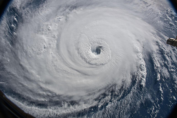AQHA Shows Postponed Due to Hurricane Florence