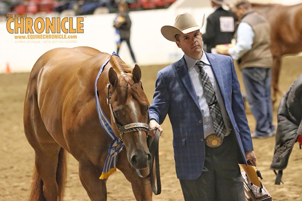 Congress Amateur Gelding Champions Include West, Czerwinski, Weakly, Headley, Bladen, and More