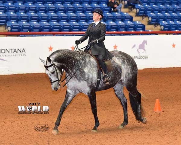 Important Info For 2018 Appaloosa World Show