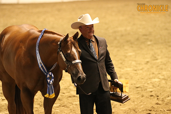 Congress Open Gelding Wins Go to Roark, Turner, Ferguson, Robertson, and More