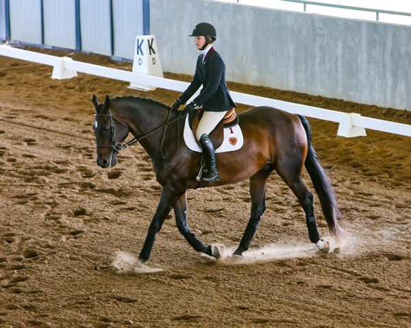 NCEA Announces October Athlete and Horse of the Month