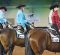 Today’s Top Trends in Western Pleasure Today’s Top Trends in Western Pleasure