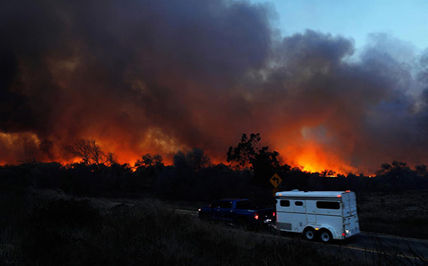 Help Horses Affected by the California Wildfires