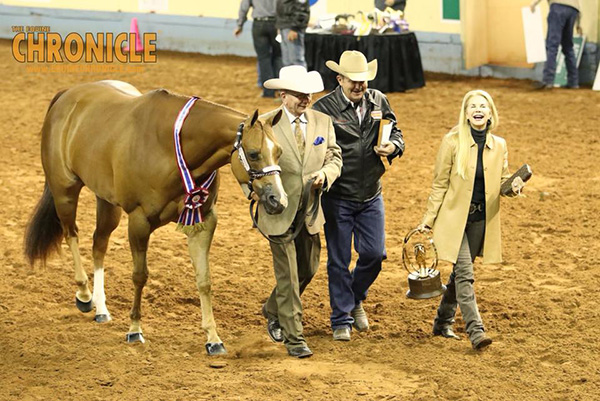 Evening AQHA World Show Winners Include Mathes/Figured I’m Invited, Turner/Mytsely, and Cole/Blameitonthe Alcohol