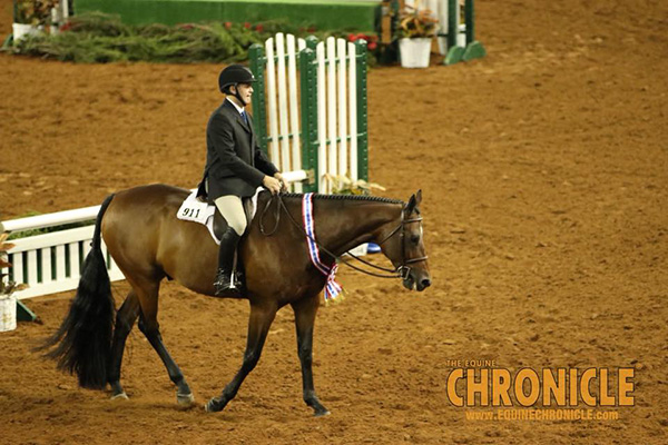 AQHA World Hunter Hack Wins Go to Chuck Briggs and Lainie DeBoer