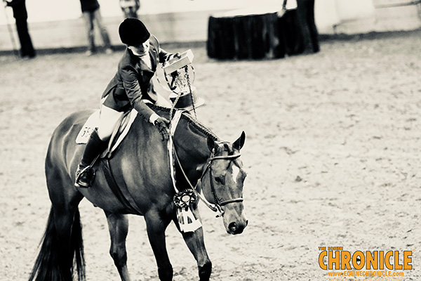 EC Photo of the Day- Love of a Horse