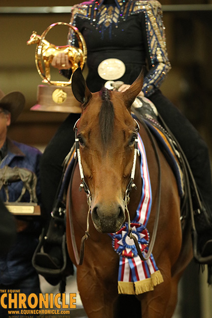 Check out Qualifying Points Required For 2019 AQHA World