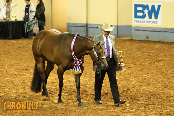 AQHA World Champions Include Turner, Smith, Robertson, and Finkenbinder