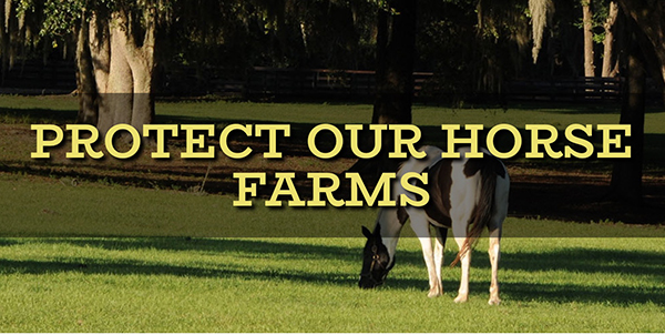 Protect Our Horse Farms