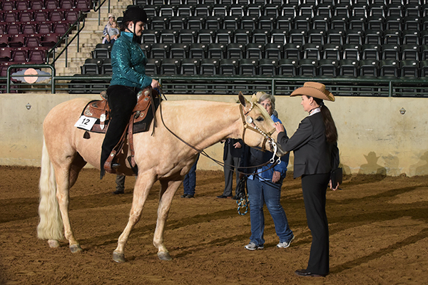 Dixie National Equestrians With Disabilities Show Prepares For 21st Year