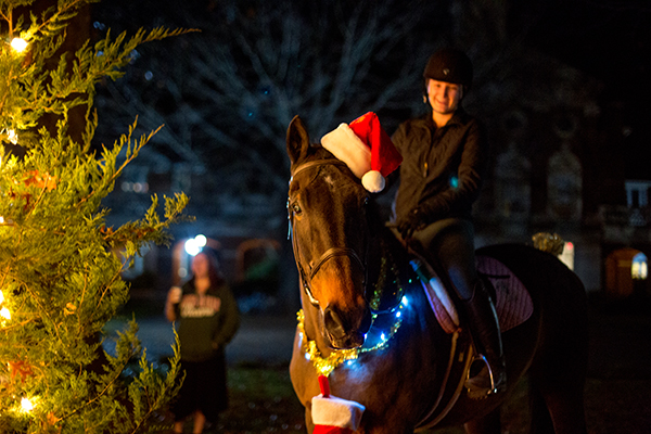 A Very Horseback Christmas Tree Lighting!