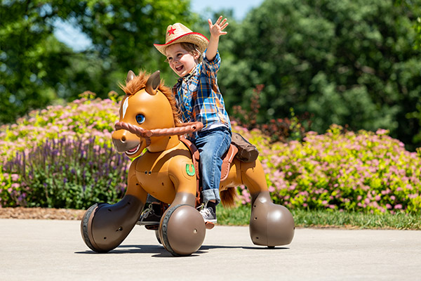 Can t Afford a Pony For Christmas Toy Designer Has Created the