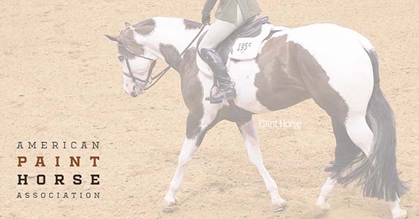 Two New APHA National Championships Will Debut in 2019