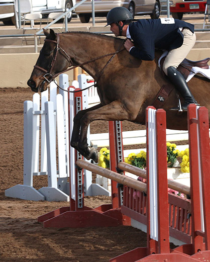 Greenway Saddlery Bringing Two Hunter Derbies to 2019 Sun Circuit  