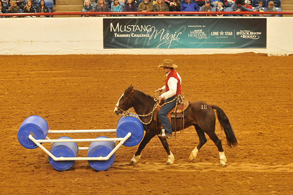 Mustang Magic Competition Comes to Fort Worth Stock Show and Rodeo- Jan