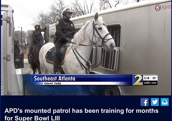 Atlanta Mounted Patrol Horses Ready For the Super Bowl!