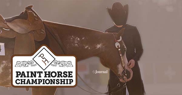 Paint Horse Championship Program Renewed For 2019