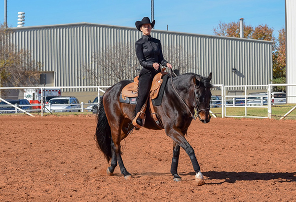 NCEA Weekend Wins Go to TCU, Texas A&M, Auburn, OSU Equestrian